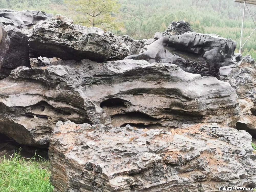 风景石、假山石大量有货，有需要的欢迎联系 - 新手上路 - 绥化生活社区 - 绥化28生活网 suihua.28life.net