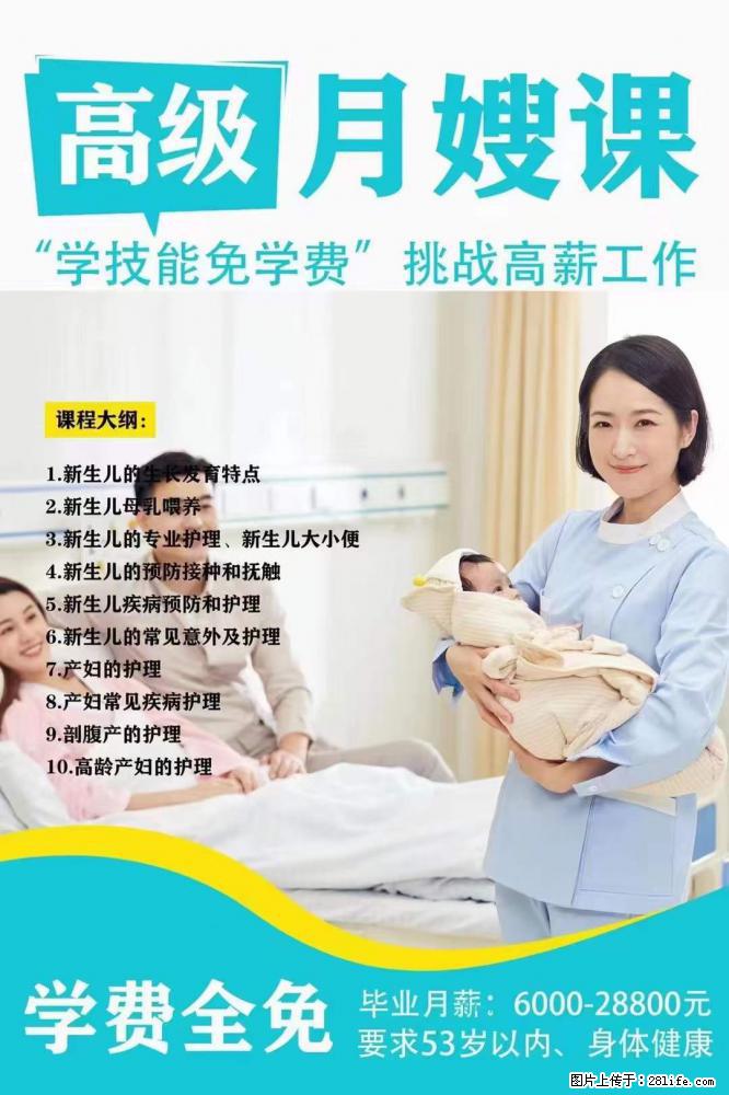 为什么要学习月嫂，育婴师？ - 其他广告 - 广告专区 - 绥化分类信息 - 绥化28生活网 suihua.28life.net