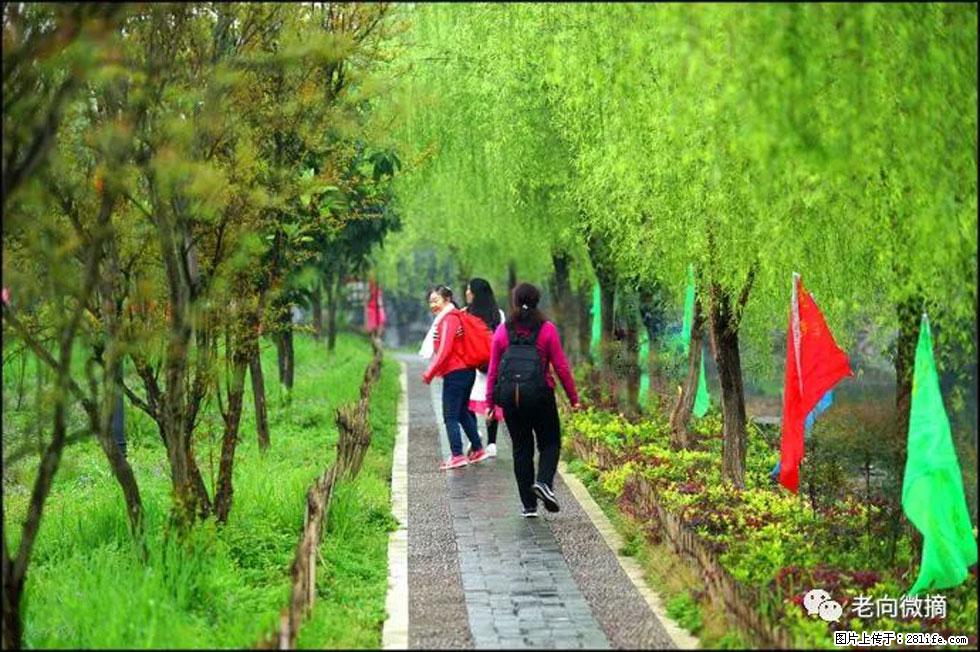 【春天,广西桂林灌阳县向您发出邀请!】江口老街又逢春 - 游山玩水 - 绥化生活社区 - 绥化28生活网 suihua.28life.net