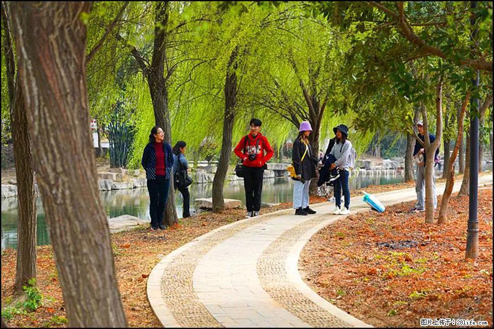 【春天,广西桂林灌阳县向您发出邀请!】江口老街又逢春 - 游山玩水 - 绥化生活社区 - 绥化28生活网 suihua.28life.net