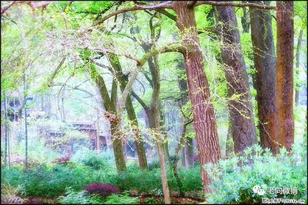 【春天，广西桂林灌阳县向您发出邀请！】在小龙村与春天约会 - 游山玩水 - 绥化生活社区 - 绥化28生活网 suihua.28life.net