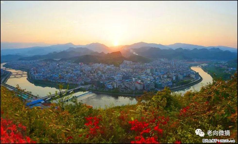 【春天，广西桂林灌阳县向您发出邀请！】登麒麟山，相约映山红 - 游山玩水 - 绥化生活社区 - 绥化28生活网 suihua.28life.net