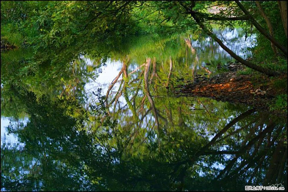 【春天，广西桂林灌阳县向您发出邀请！】熊家寨湿地公园 - 游山玩水 - 绥化生活社区 - 绥化28生活网 suihua.28life.net