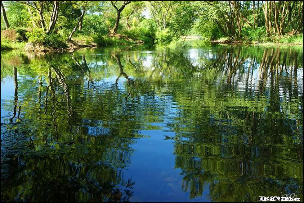 【春天，广西桂林灌阳县向您发出邀请！】熊家寨湿地公园 - 游山玩水 - 绥化生活社区 - 绥化28生活网 suihua.28life.net