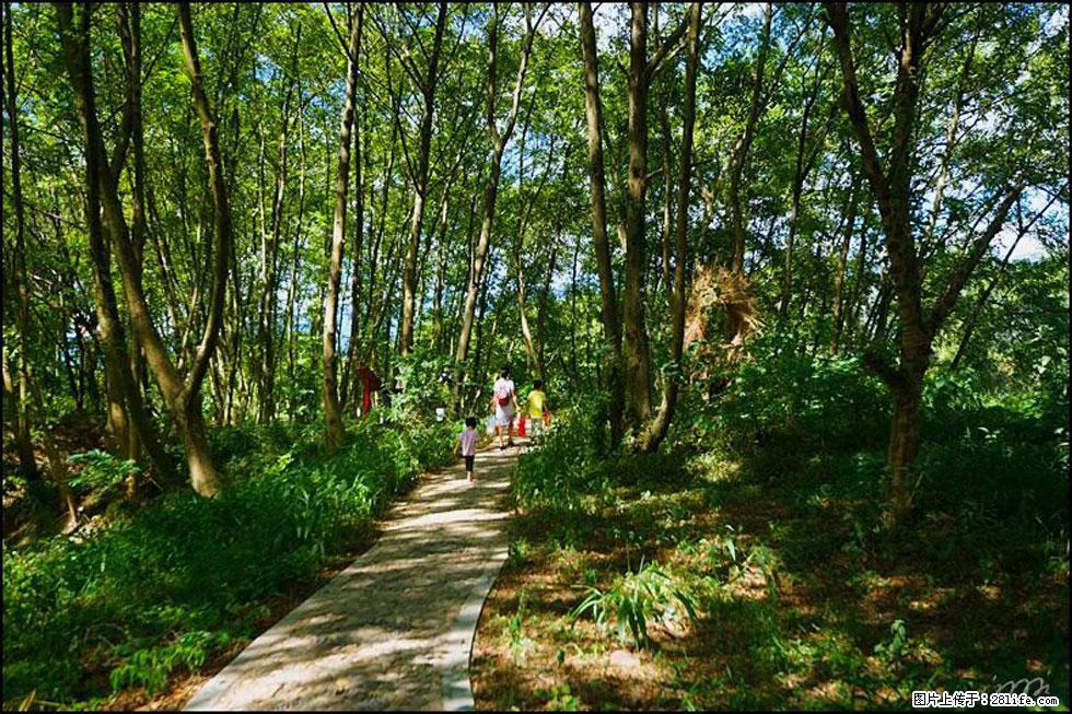 【春天，广西桂林灌阳县向您发出邀请！】熊家寨湿地公园 - 游山玩水 - 绥化生活社区 - 绥化28生活网 suihua.28life.net