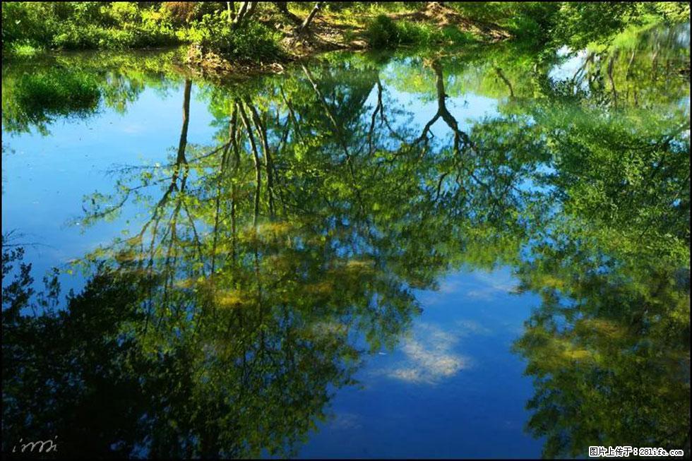 【春天，广西桂林灌阳县向您发出邀请！】熊家寨湿地公园 - 游山玩水 - 绥化生活社区 - 绥化28生活网 suihua.28life.net