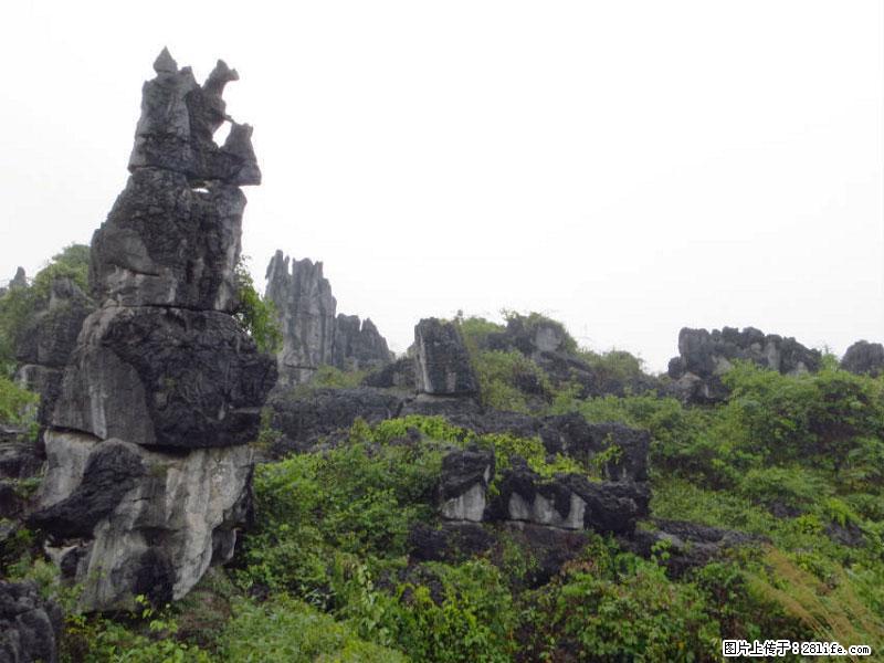 桂林旅游名城景点：灌阳文市石林 - 游山玩水 - 绥化生活社区 - 绥化28生活网 suihua.28life.net