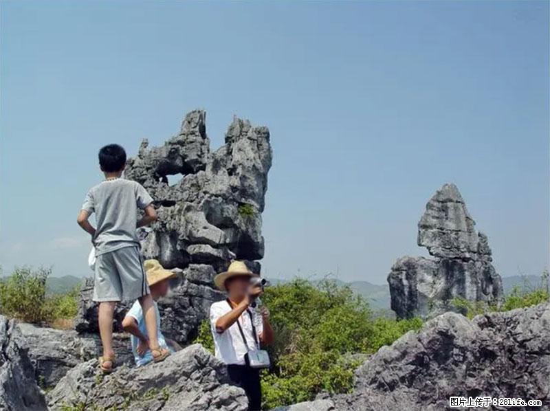 桂林旅游名城景点：灌阳文市石林 - 游山玩水 - 绥化生活社区 - 绥化28生活网 suihua.28life.net