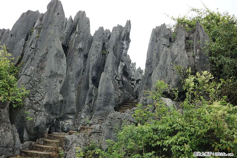 桂林旅游名城景点：灌阳文市石林 - 游山玩水 - 绥化生活社区 - 绥化28生活网 suihua.28life.net