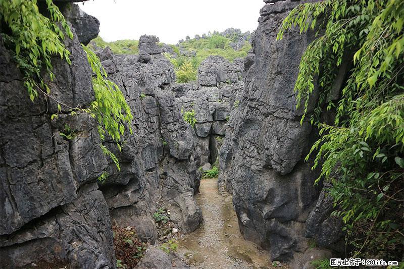 桂林旅游名城景点：灌阳文市石林 - 游山玩水 - 绥化生活社区 - 绥化28生活网 suihua.28life.net