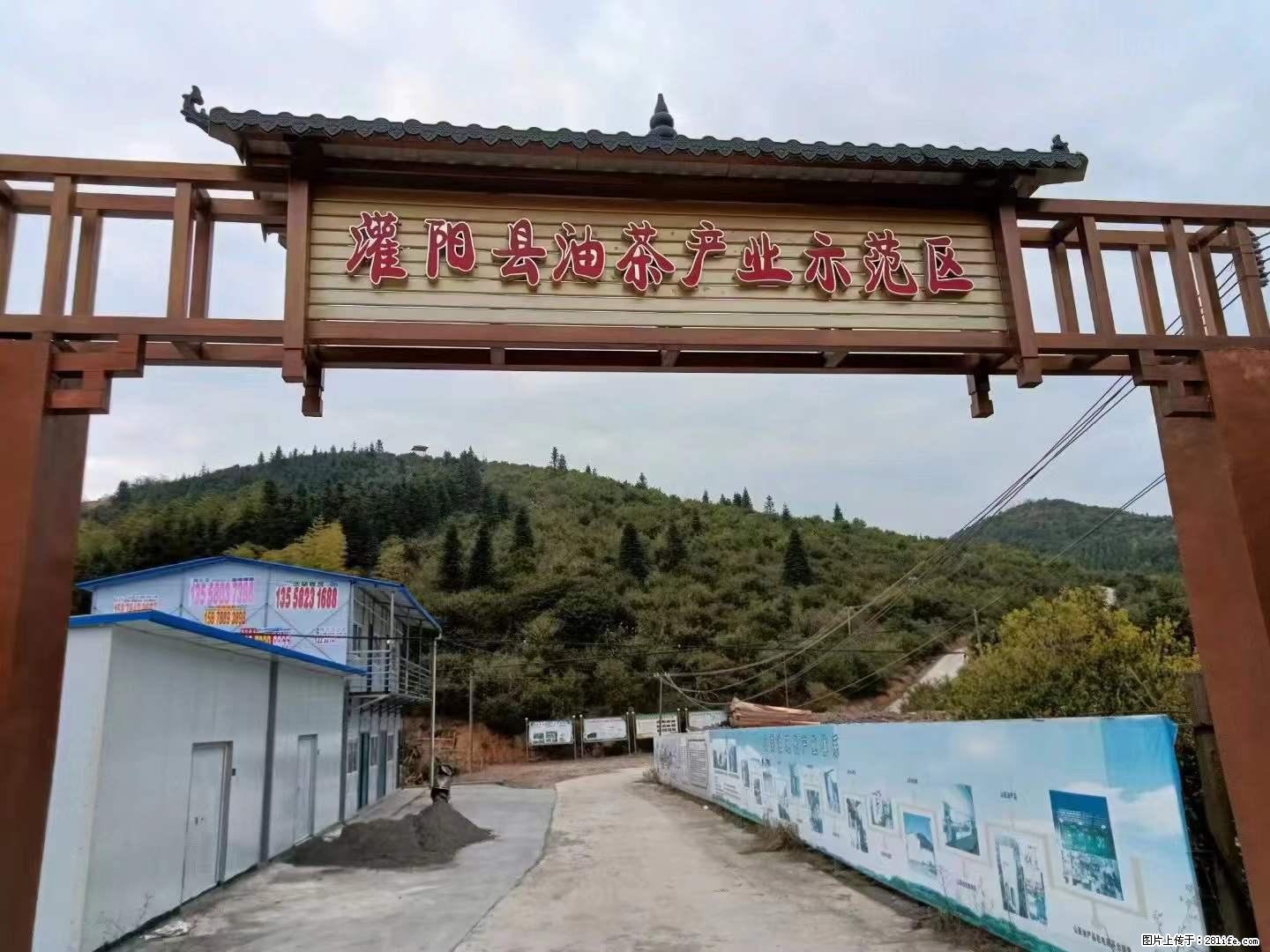 【灌阳县油茶产业示范区】一个有着充实的精神生活的人，对待身外之物自会有一种淡泊的态度 - 美食天地 - 绥化生活社区 - 绥化28生活网 suihua.28life.net