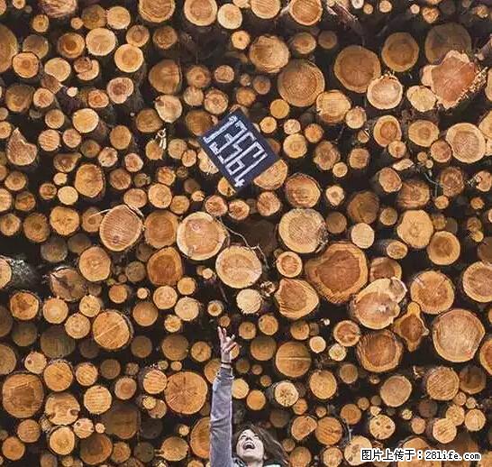 辞掉工作周游世界？现在他们在洗厕所…… - 游山玩水 - 绥化生活社区 - 绥化28生活网 suihua.28life.net