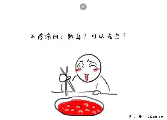 千万不要和这9种哈卵一起吃火锅！ - 美食天地 - 绥化生活社区 - 绥化28生活网 suihua.28life.net