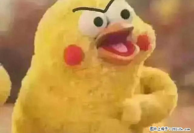 南二东路 正大街近 拎包就住 5楼 10000一年 - 房屋出租 - 房屋租售 - 绥化分类信息 - 绥化28生活网 suihua.28life.net