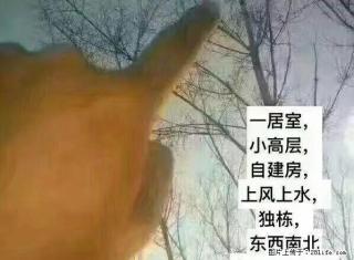 交通新苑 南北通透 性价比高 地段好 紧邻十中 - 绥化28生活网 suihua.28life.net