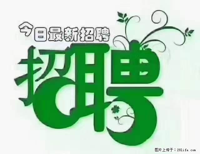 【招聘】产康师 - 职场交流 - 绥化生活社区 - 绥化28生活网 suihua.28life.net