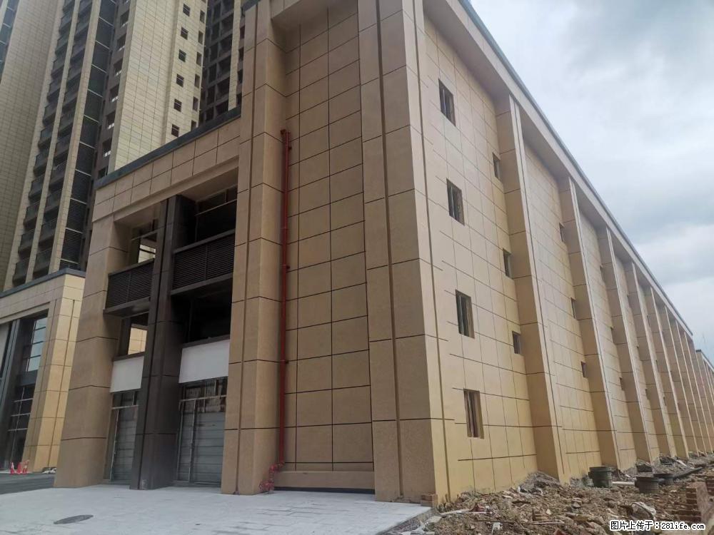 【广西三象建筑安装工程有限公司】外墙涂料工程 - 新手上路 - 绥化生活社区 - 绥化28生活网 suihua.28life.net