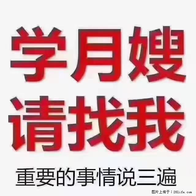 【招聘】月嫂，上海徐汇区 - 职场交流 - 绥化生活社区 - 绥化28生活网 suihua.28life.net