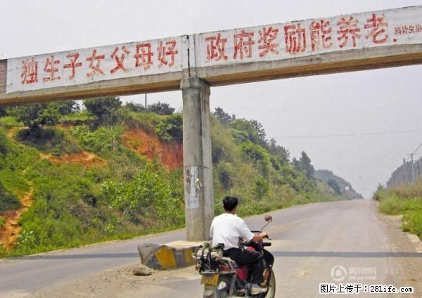 全面两孩政策计划明年元旦起实施 夫妻可延长生育假 - 绥化生活资讯 - 绥化28生活网 suihua.28life.net
