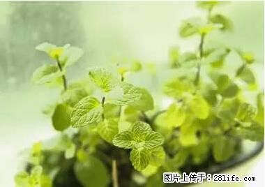 晕车、脚气、牙齿变黄、皮肤粗糙？学会这些三分钟搞定！ - 绥化生活资讯 - 绥化28生活网 suihua.28life.net