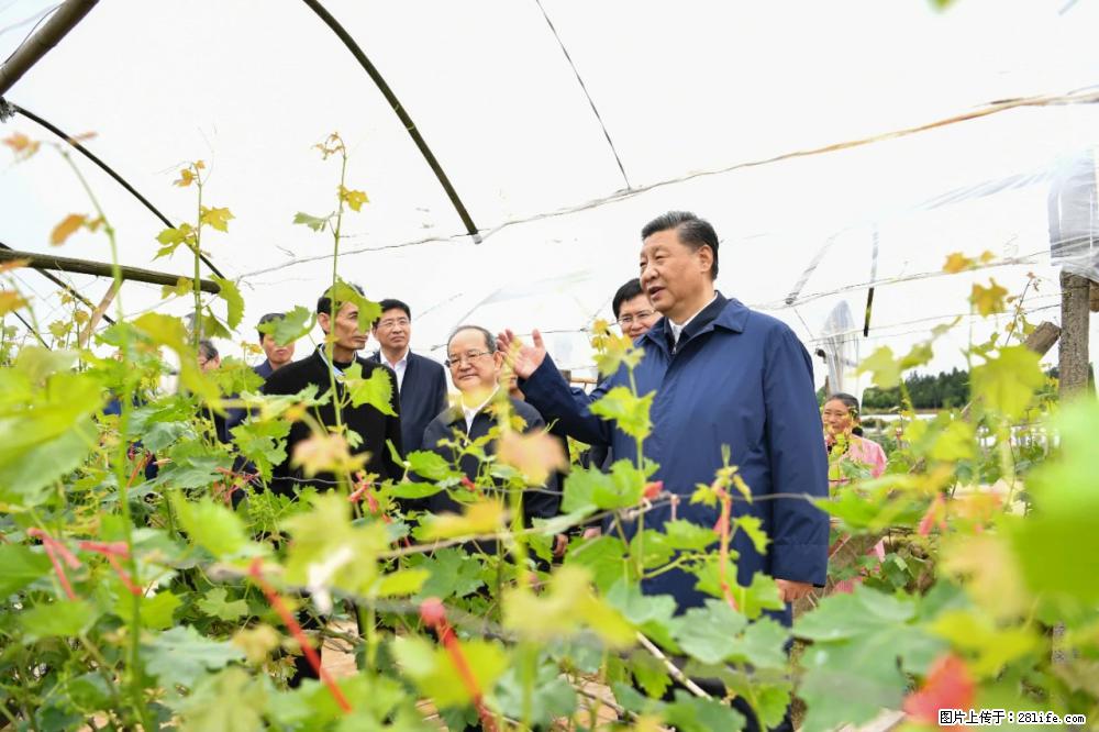习近平赴广西考察调研 - 绥化生活资讯 - 绥化28生活网 suihua.28life.net