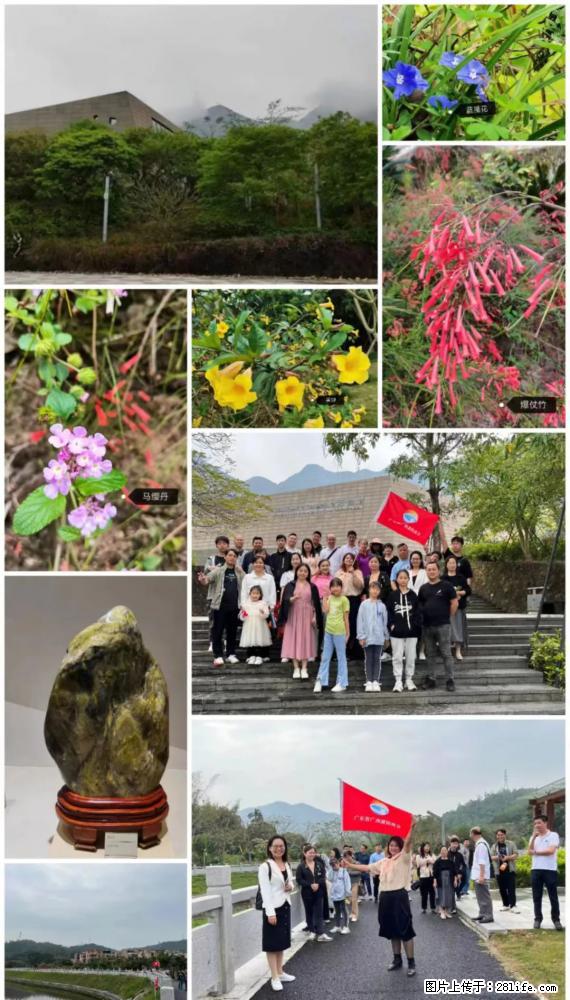“粤灌文化 美好生活”油茶文化主题活动在广东深圳成功举办 - 绥化生活资讯 - 绥化28生活网 suihua.28life.net