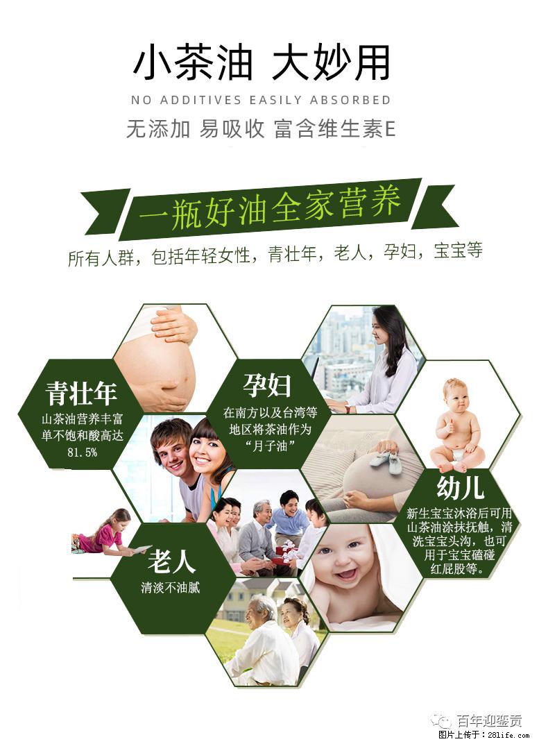 世界没有真相，只有认知，最好的食用油是中国的山茶油！ - 绥化生活资讯 - 绥化28生活网 suihua.28life.net