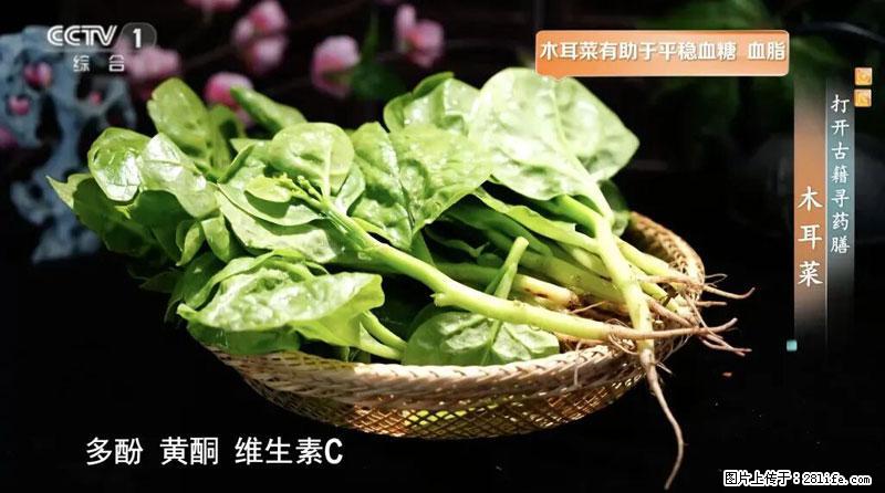 比牛奶补钙还厉害！凉血解毒、稳血糖...这菜冬天必吃，很多人却当草 - 绥化生活资讯 - 绥化28生活网 suihua.28life.net