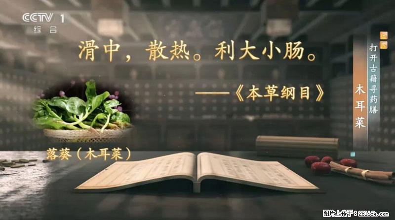 比牛奶补钙还厉害！凉血解毒、稳血糖...这菜冬天必吃，很多人却当草 - 绥化生活资讯 - 绥化28生活网 suihua.28life.net