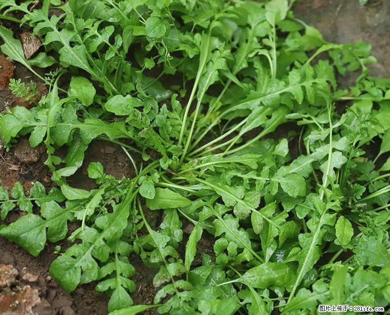这些蔬菜是“天然钙片”，这6种被医生重点推荐 - 绥化生活资讯 - 绥化28生活网 suihua.28life.net