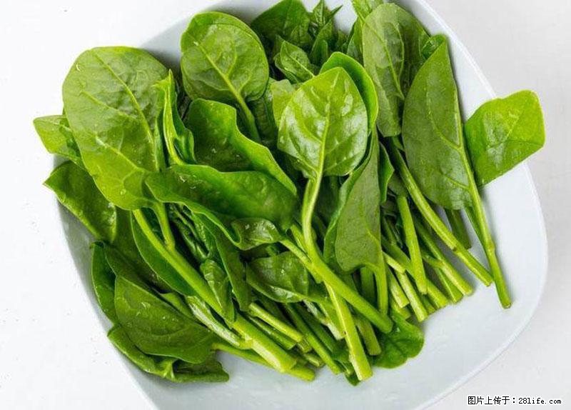 这些蔬菜是“天然钙片”，这6种被医生重点推荐 - 绥化生活资讯 - 绥化28生活网 suihua.28life.net