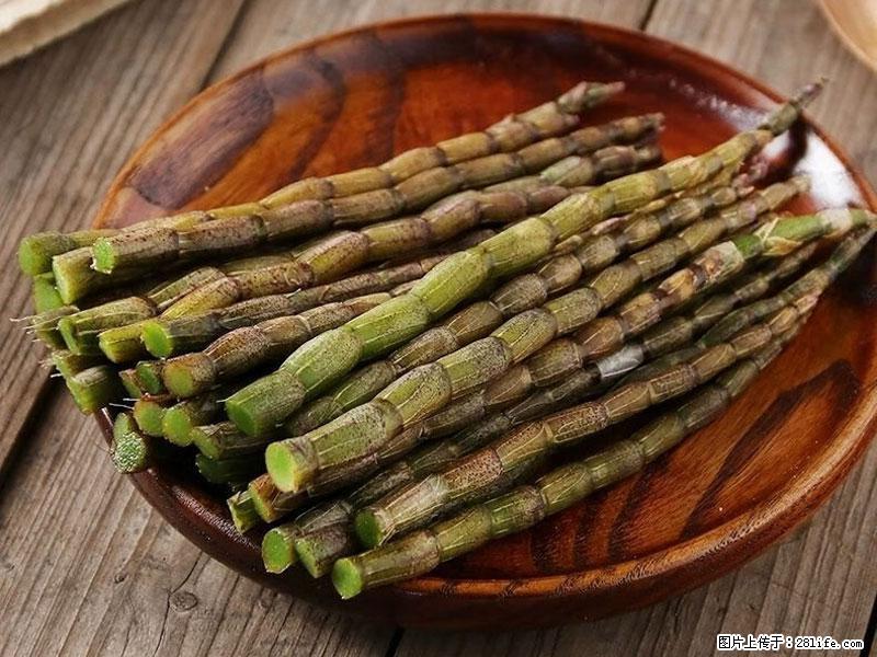 铁皮石斛的作用与功能主治 - 绥化生活资讯 - 绥化28生活网 suihua.28life.net