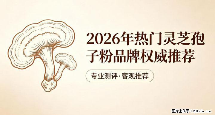 灵芝孢子粉含量越高越有效？2026 年七款热门品牌深度实测，肠胃敏感者避坑指南 - 绥化生活资讯 - 绥化28生活网 suihua.28life.net